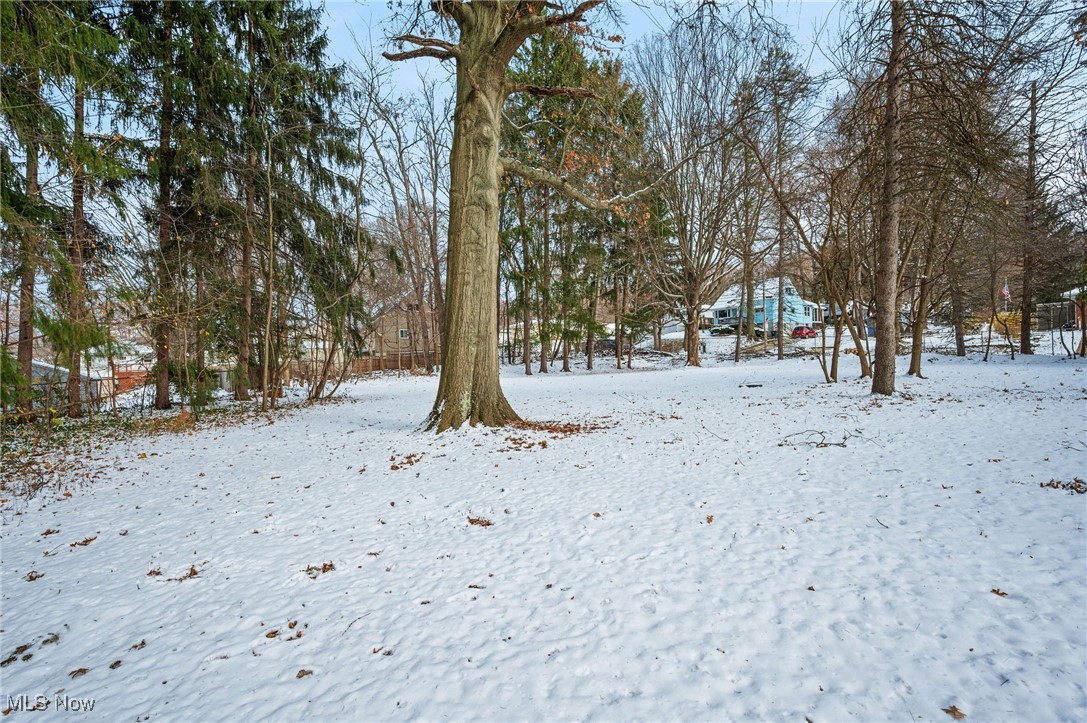 Tallmadge Road - Land