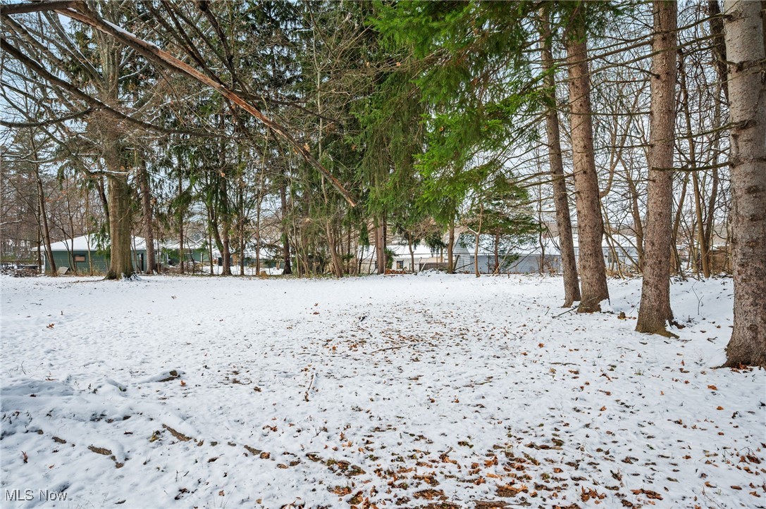 Tallmadge Road - Land