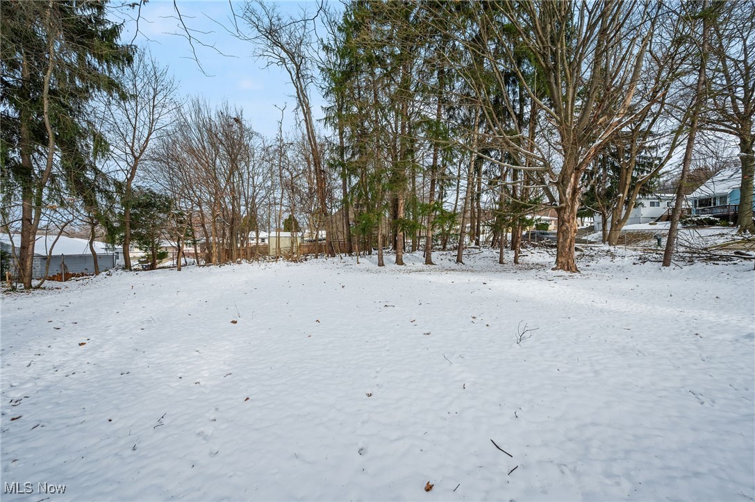 Tallmadge Road - Land