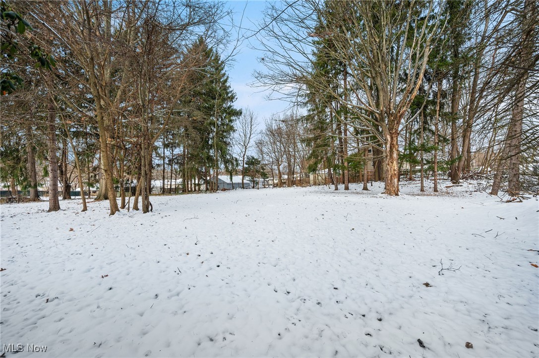 Tallmadge Road - Land