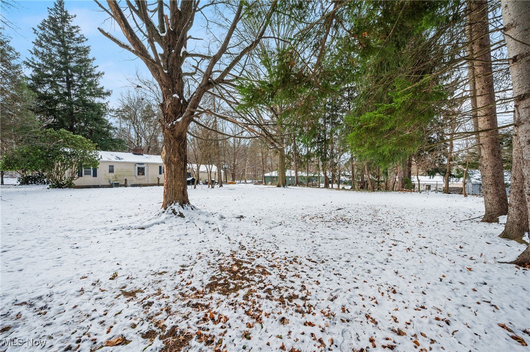 Tallmadge Road - Land