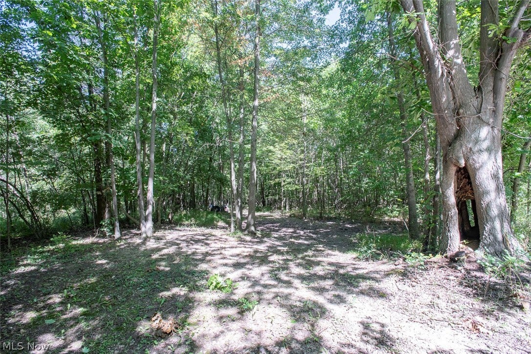 Dunham Road Lot 1