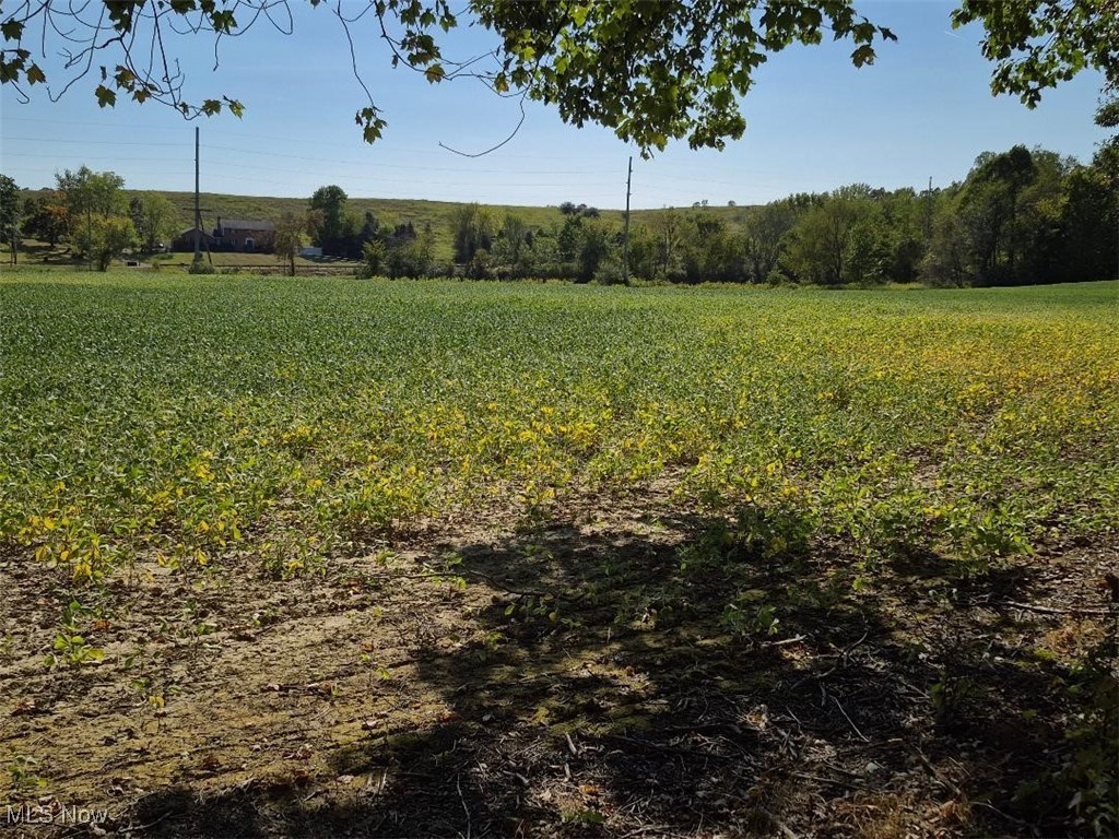 Access to property is a private gravel road off Lincoln St SE property is available on 48 hour notice. All buyer must be pre-approved to view. Mineral rights do not convey to buyer. And stays with the owner. Crops (soybeans) are the property of a farmer and remain his property till the end of the year weather permitting. There is a driveway easement for the existing homes on the east side.