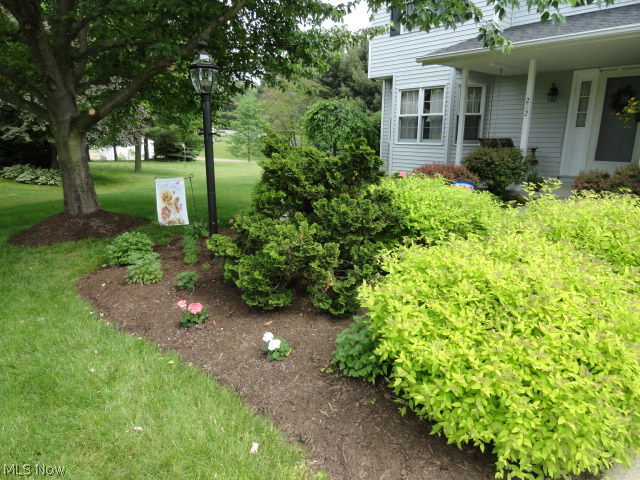 Surrey Hill - Residential