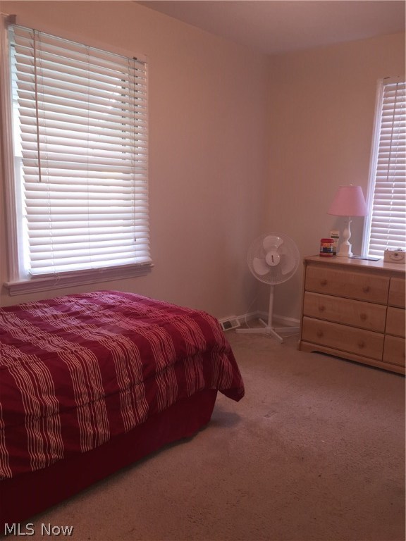 Liberty Park Allotment - Residential