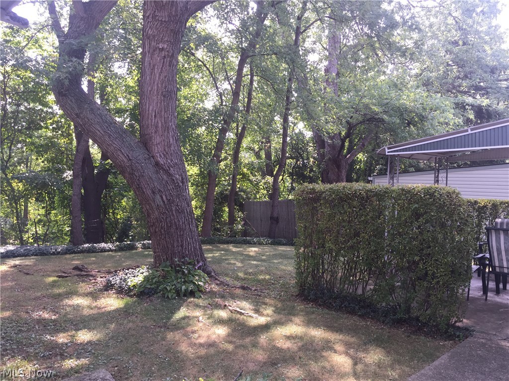 Liberty Park Allotment - Residential