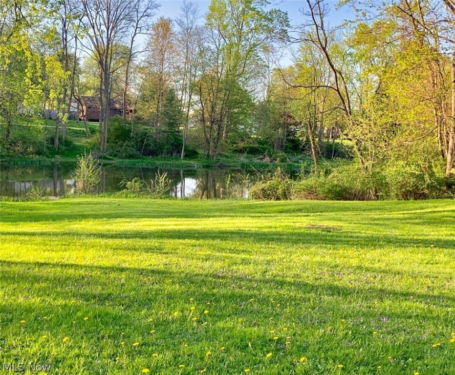 City/Newton Falls - Residential