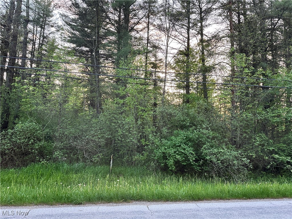 3549 Knowlton Road, Rock Creek, Ohio image 2