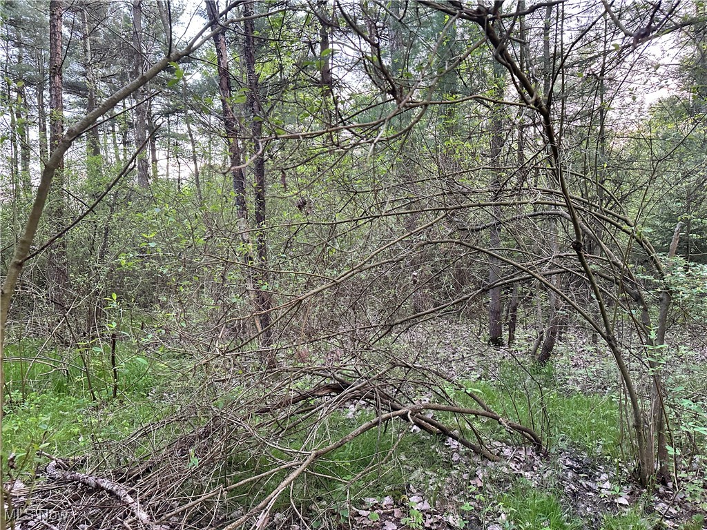 3549 Knowlton Road, Rock Creek, Ohio image 7