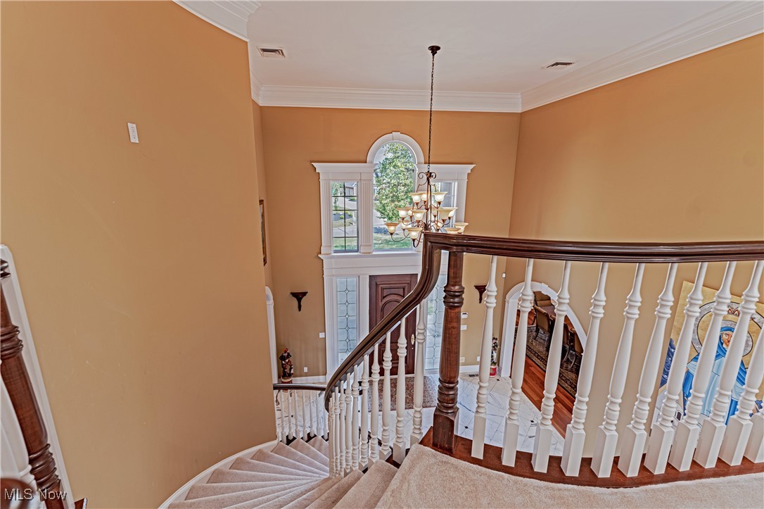 Glencairn Forest Ph II - Residential