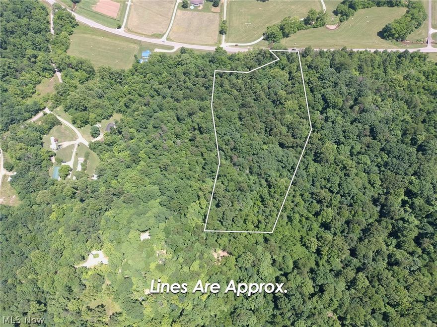 If you've been dreaming of owning 9.5 acres of wooded land in rural Gallia County, this is a prime opportunity for a modest investment. With water and electric utilities available at the roadway, all that's needed is the installation of a driveway and the construction of your residence in the countryside. Or, maybe you want a serene plot to enjoy nature, this property offers an affordable option. Feel free to walk the property at your convenience and secure your own slice of country paradise. Within easy driving distance of Wayne National Forest and thousands of acres of reacreation. The address listed is across the highway. the GPS is 38°43'02.0"N 82°16'14.8"W