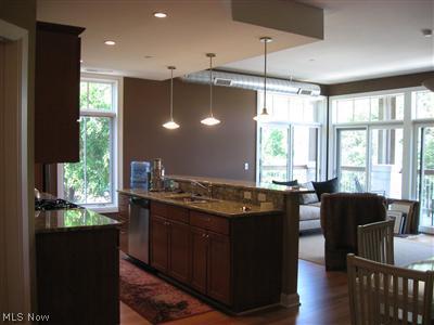 Bluestone Condominium - Residential