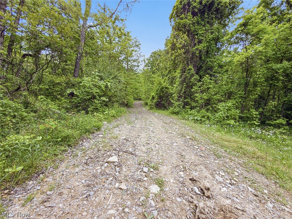 95 acres Newlon Road