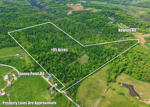 Vacant Land For Sale - 95 ACRES Newlon Road<br/> Morgan County, Malta, OH 43758