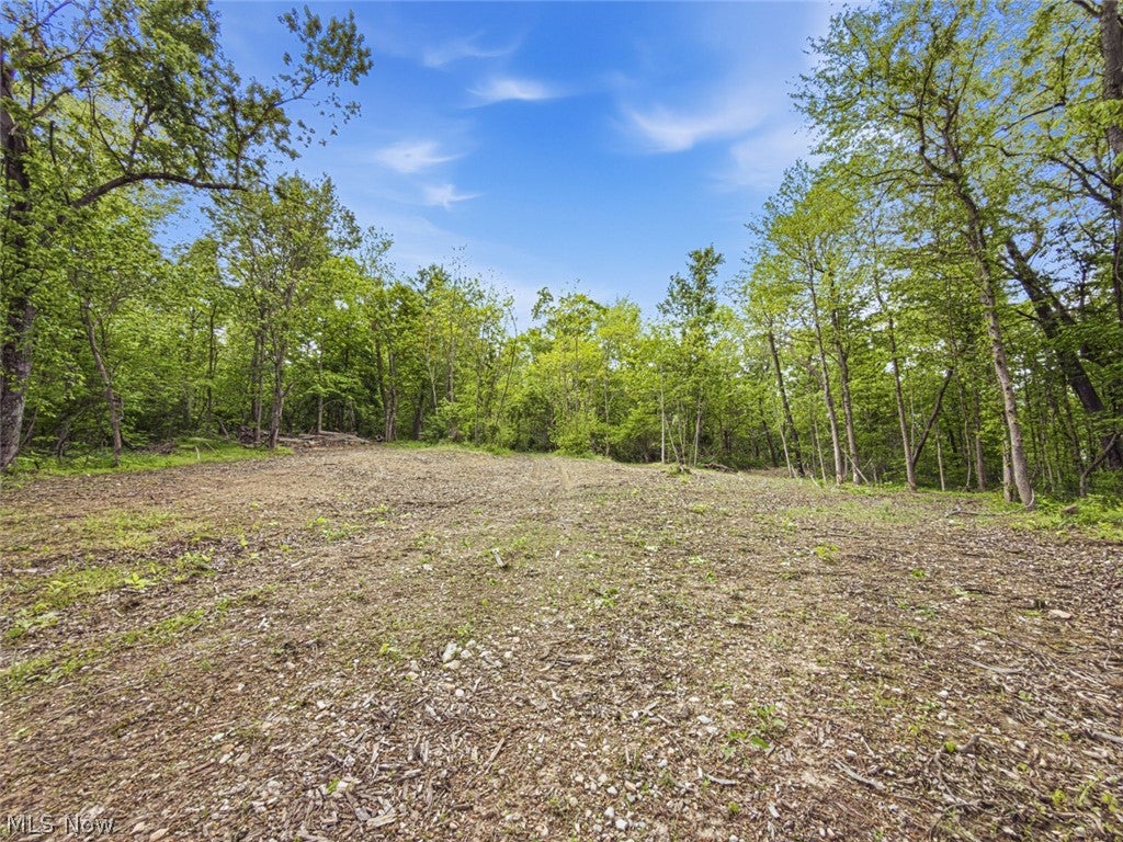 95 acres Newlon Road
