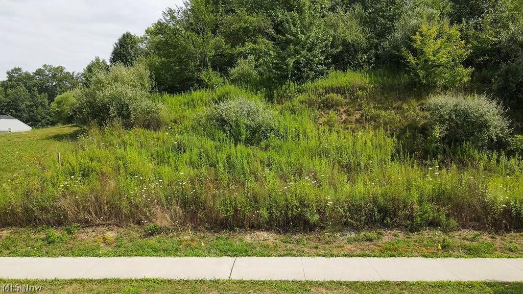 Lakes/Green #2 - Land