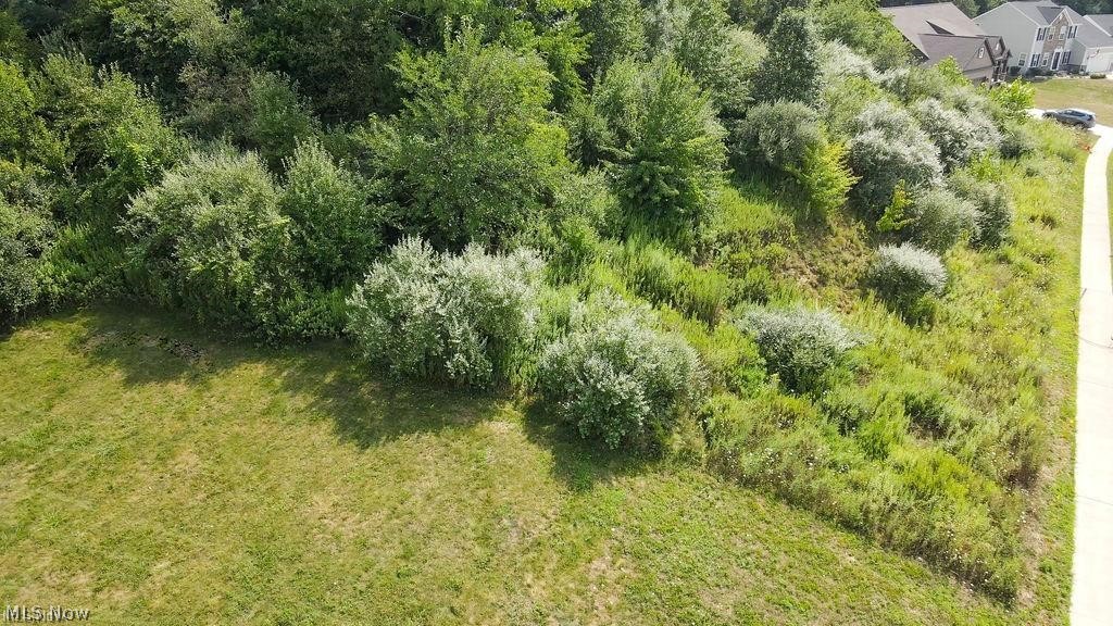 Lakes/Green #2 - Land