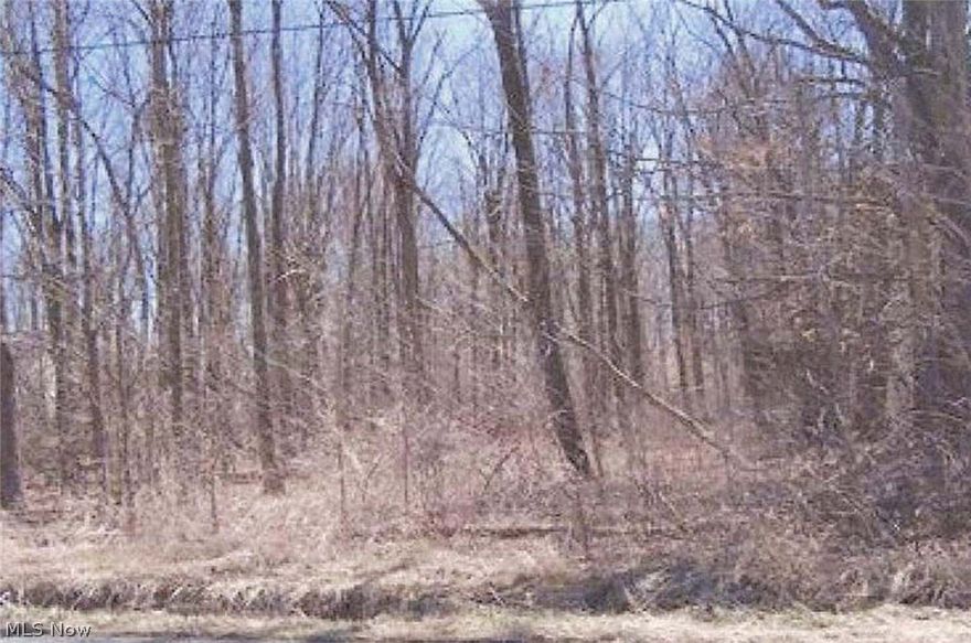 Nice piece of wooded residential property to build your dream home on! Good location - close to interstate!