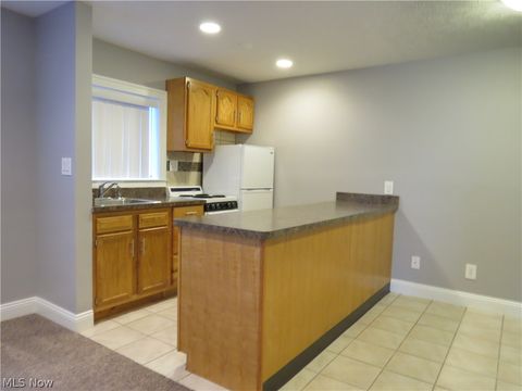 Tiny photo for 1675 Woodward Avenue #3, Lakewood, OH 44107 (MLS # 5198054)