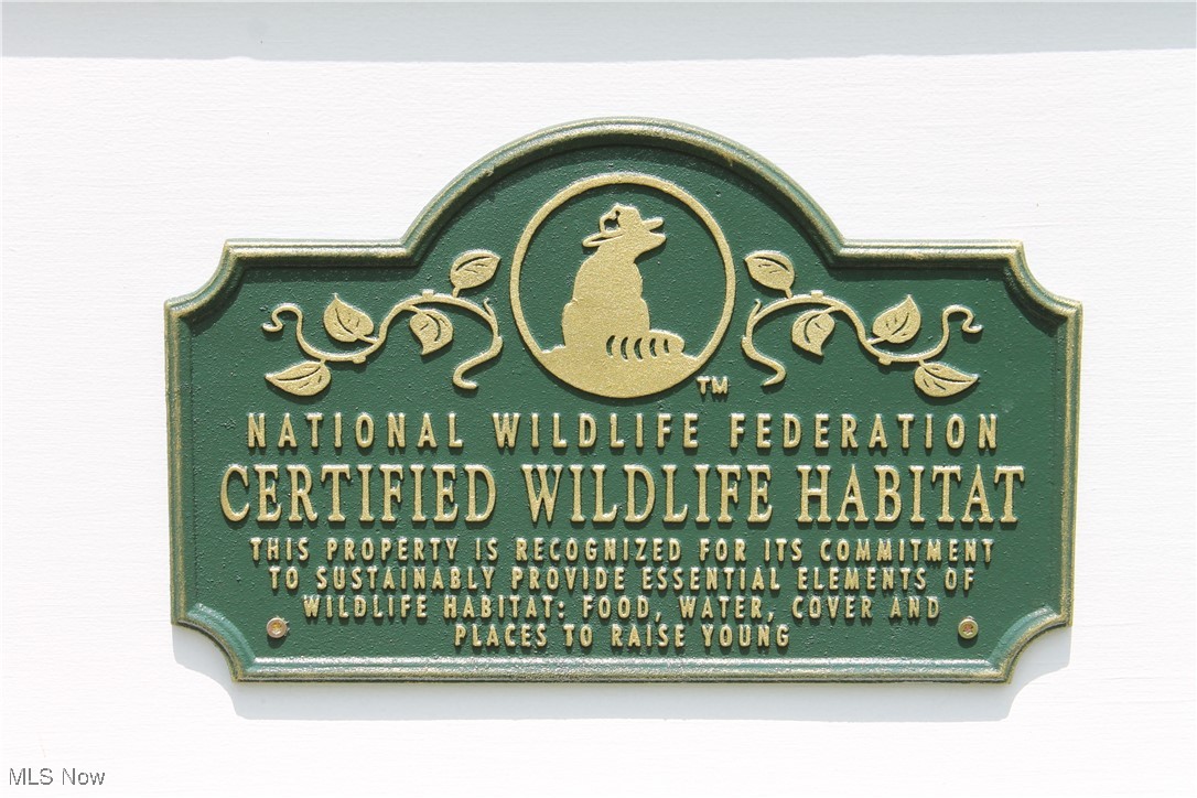 Village/Burbank Plat - Residential