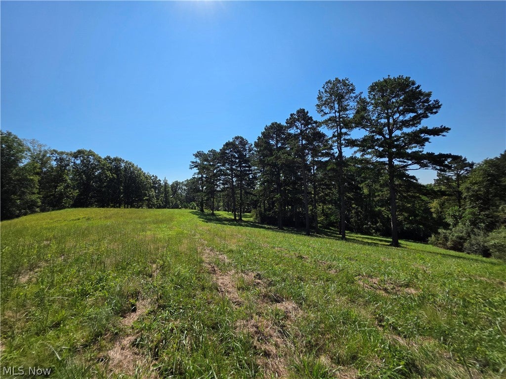 Brimstone Road