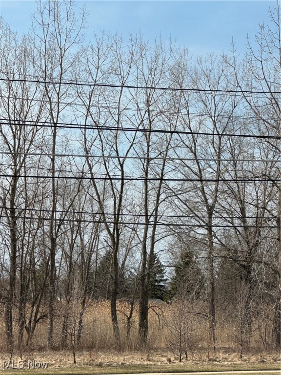 Lost Nation Road