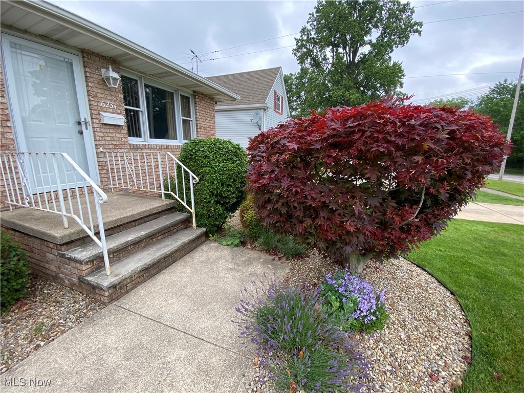 6234 W 54th Street, Parma, Ohio image 5