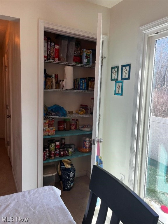 Lions Park Allotment - Residential