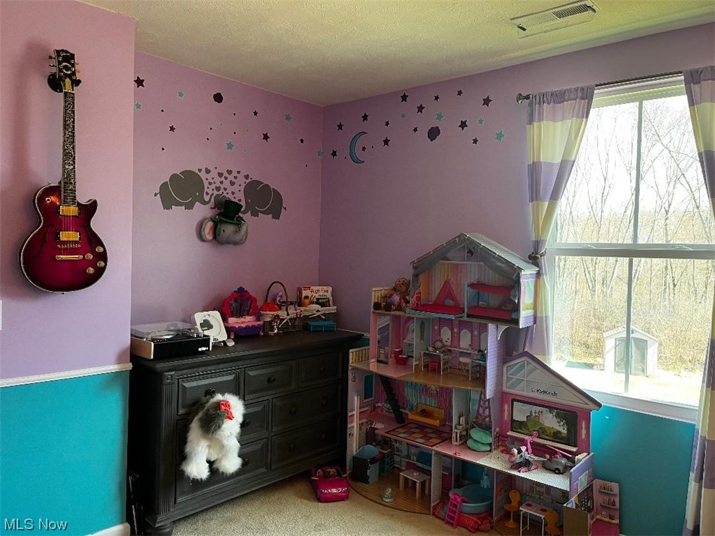 Lions Park Allotment - Residential