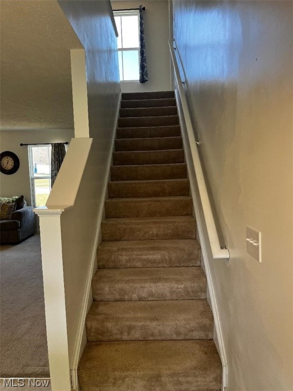 Lions Park Allotment - Residential