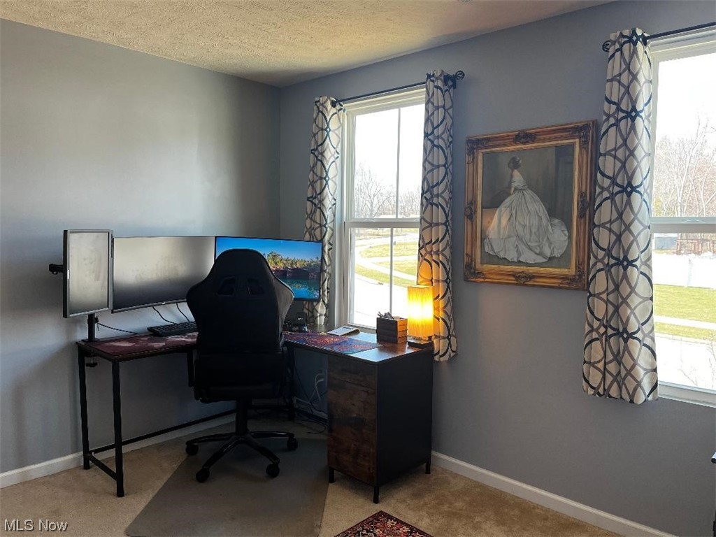 Lions Park Allotment - Residential