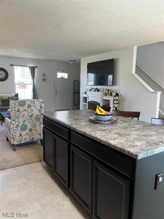 Lions Park Allotment - Residential