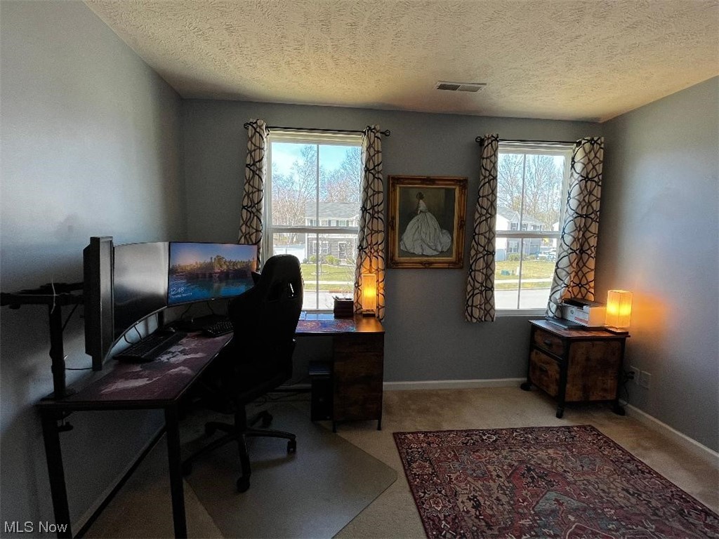 Lions Park Allotment - Residential