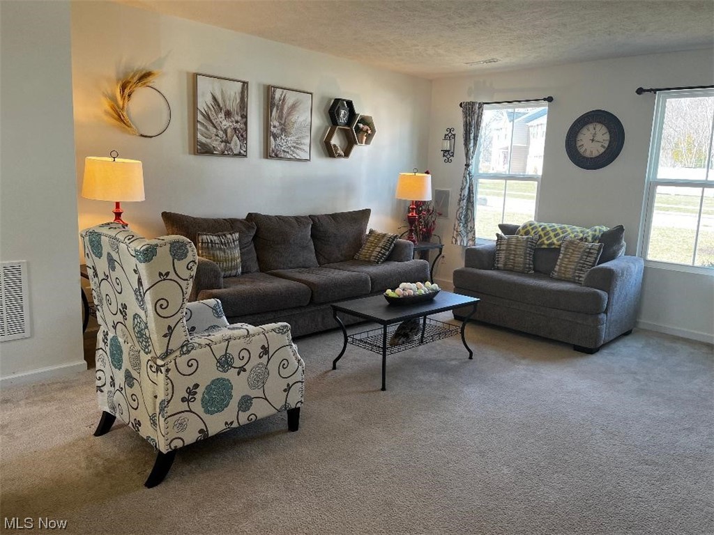 Lions Park Allotment - Residential