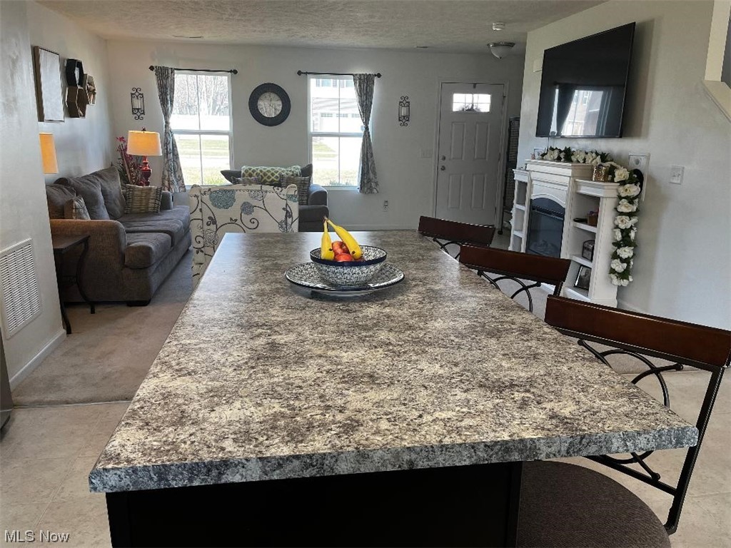 Lions Park Allotment - Residential