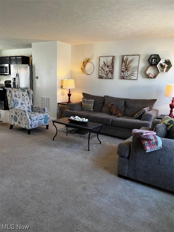 Lions Park Allotment - Residential