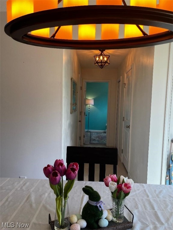 Lions Park Allotment - Residential