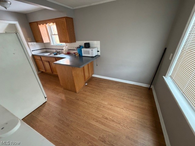 Garfield Park Allotment - Residential