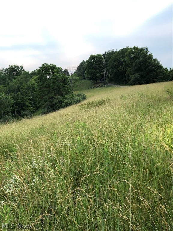 100 Year Old Family Owned Farm for sale, 85 Acres in Rockport, WV. Beautiful ridge top views, timber, rolling meadows and Mineral Rights with this Beautiful Farm in Almost Heaven West Virginia. City water at the road, old farmhouse on the property is of no added value. Whitetail deer abundant on this farm.