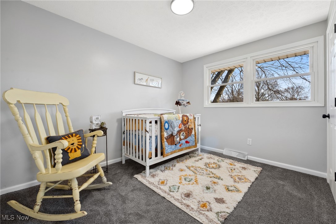 5009 4th Street, Canton, Ohio image 19