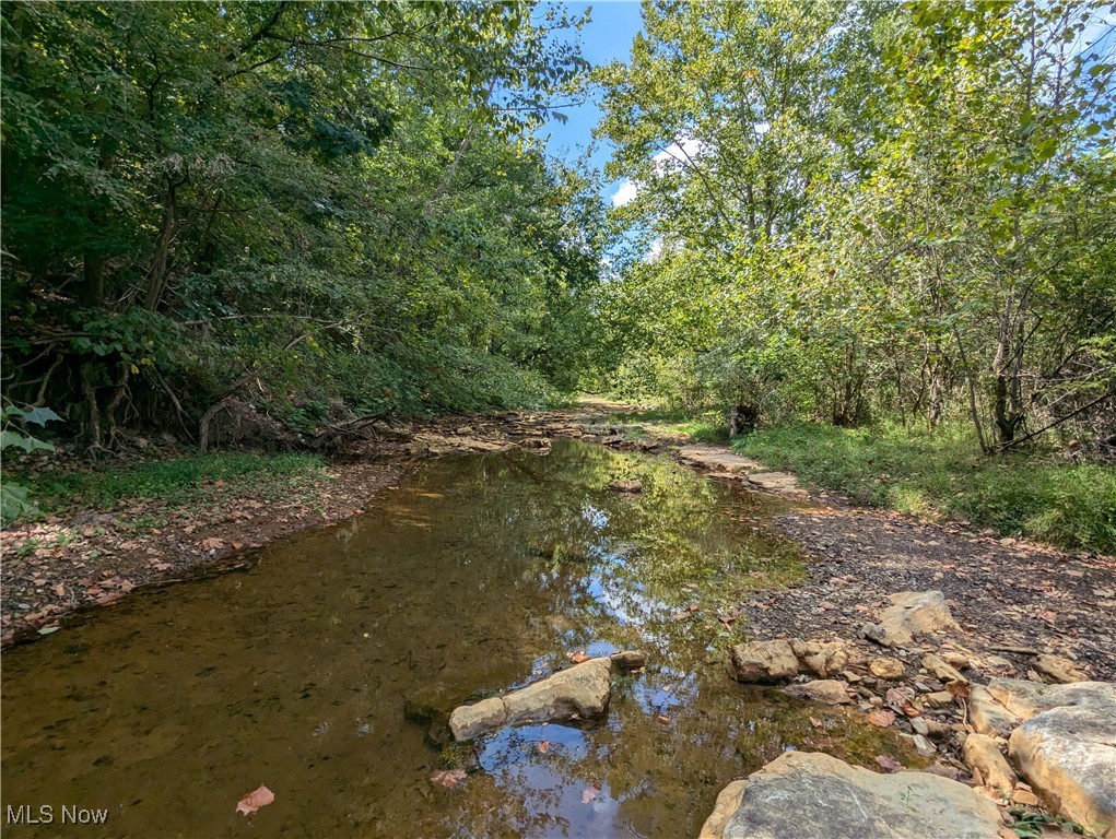 County Road 1, Rayland, Ohio image 8