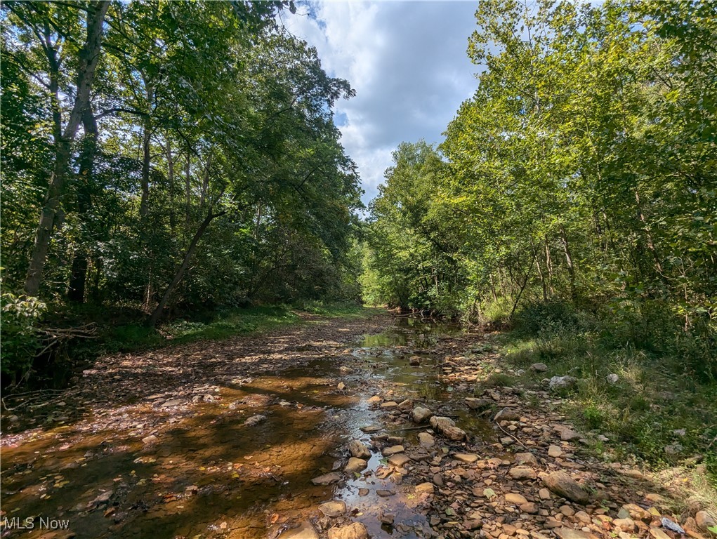 County Road 1, Rayland, Ohio image 16