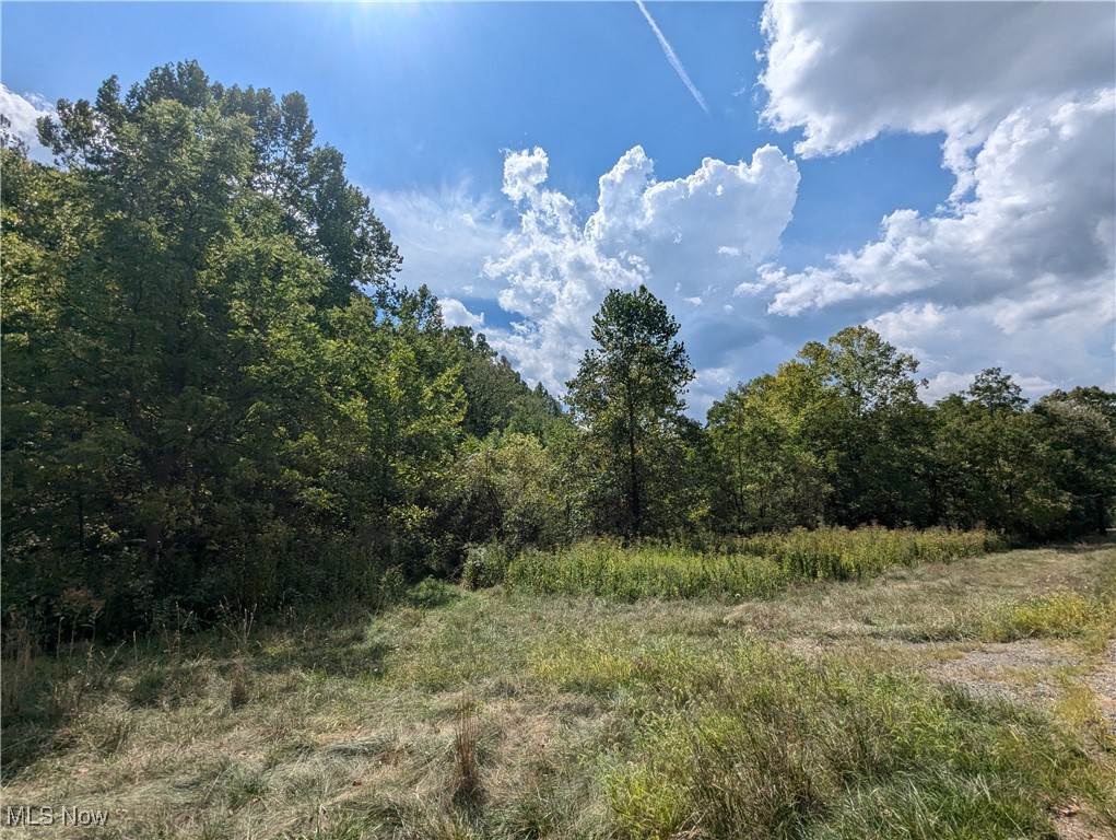 County Road 1, Rayland, Ohio image 19