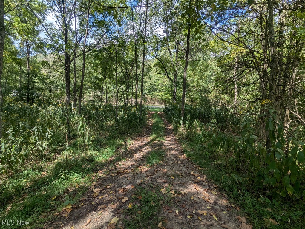 County Road 1, Rayland, Ohio image 17