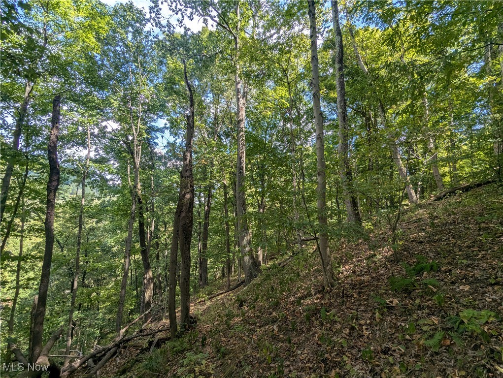 County Road 1, Rayland, Ohio image 11