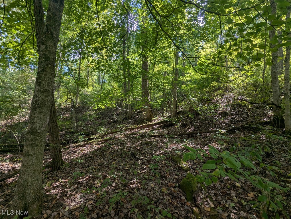 County Road 1, Rayland, Ohio image 14