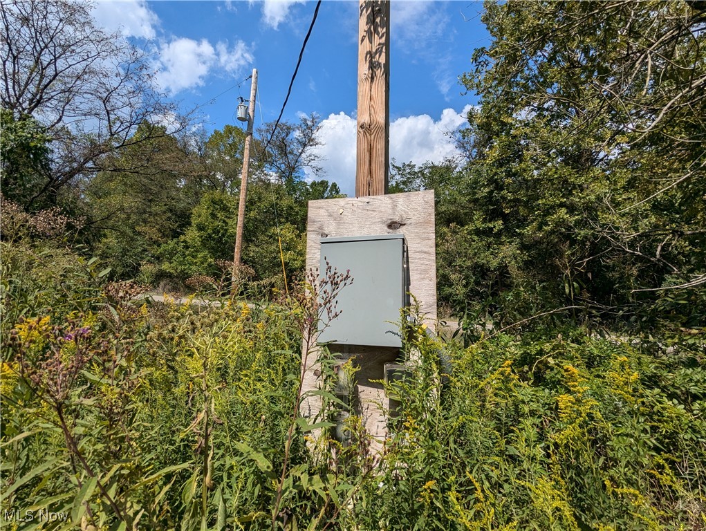 County Road 1, Rayland, Ohio image 2