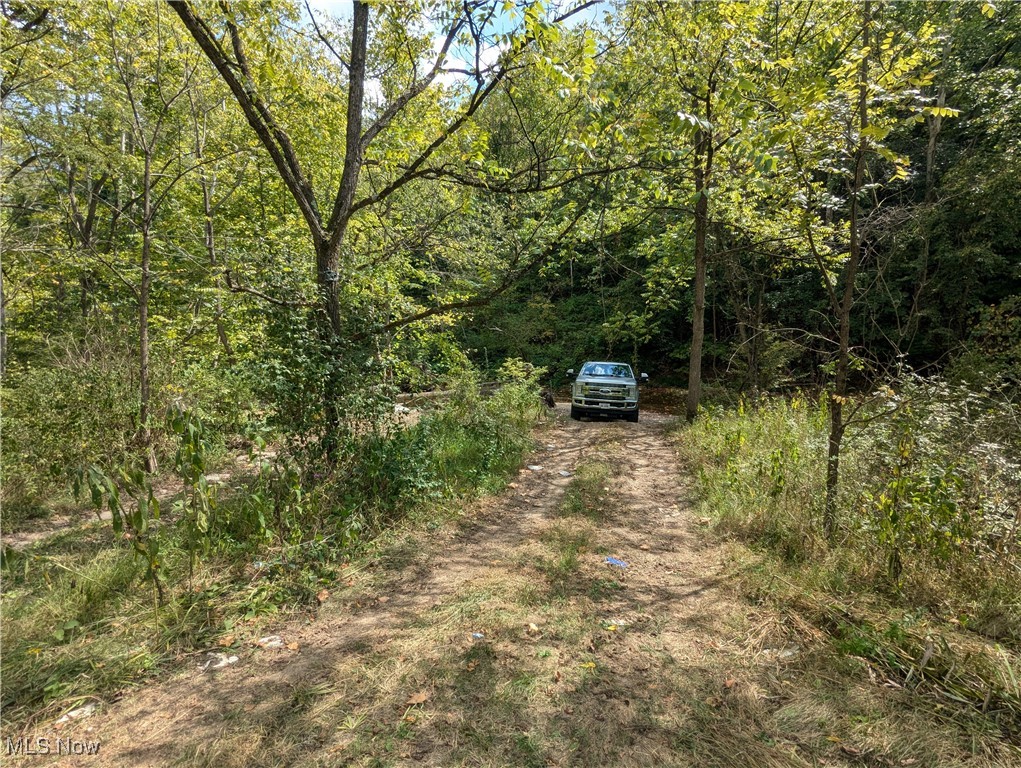 County Road 1, Rayland, Ohio image 21