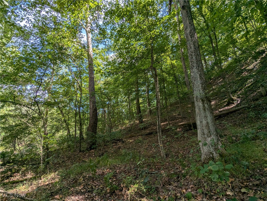 County Road 1, Rayland, Ohio image 10