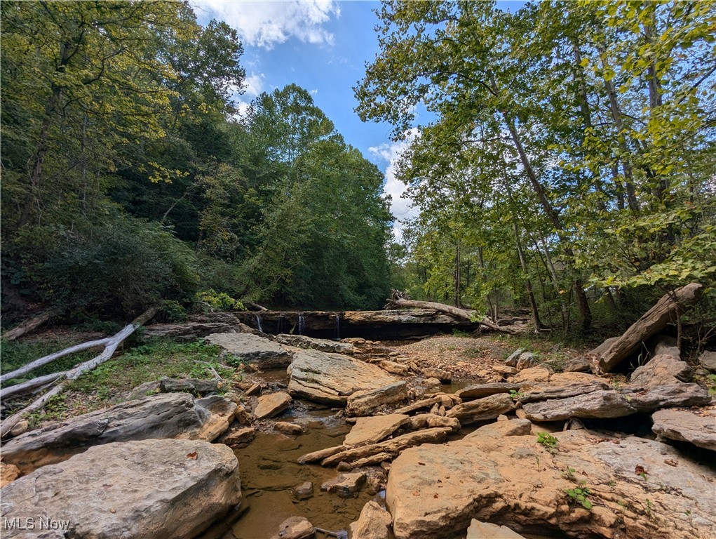 County Road 1, Rayland, Ohio image 5